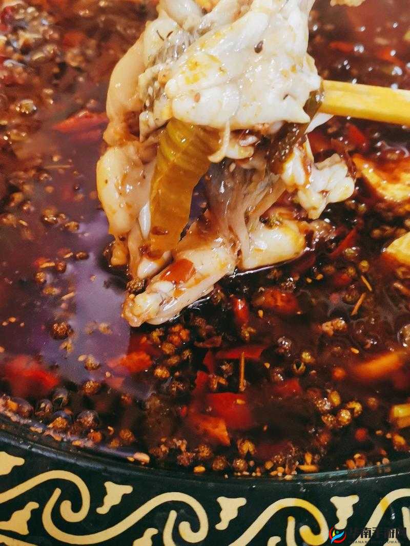 国精产品一区一区三区 M：展现独特魅力