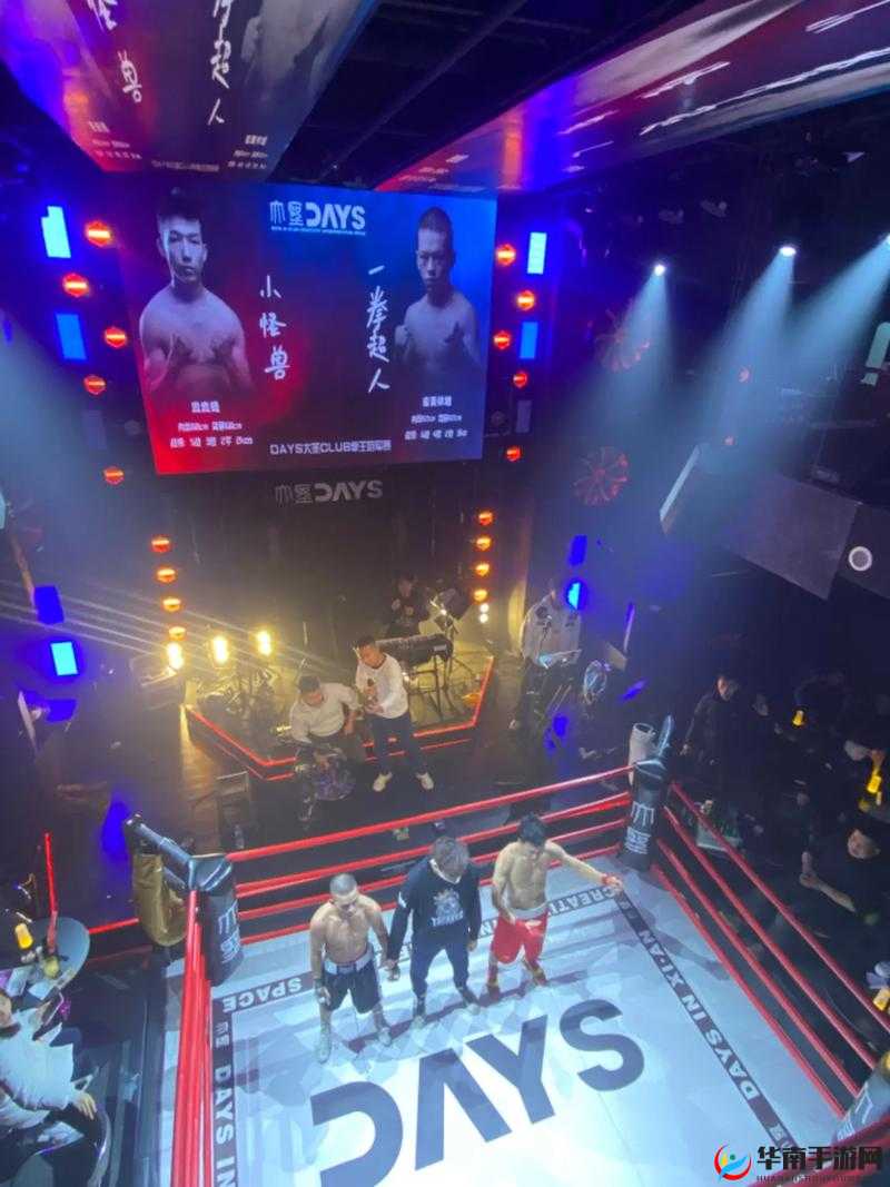 完整格斗大擂台：激情无限的战斗盛宴