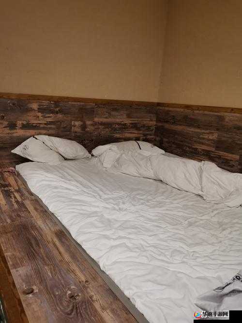 东北大炕乱欲狂：激情燃烧的独特体验