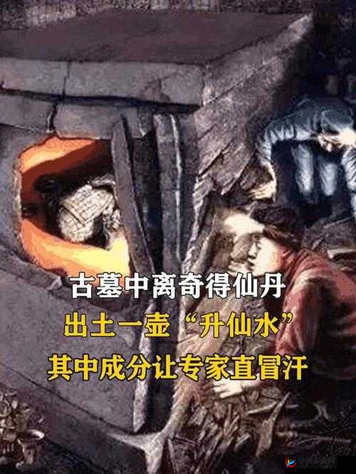 神奇仙丹的秘密获取之旅及其效用研究:走向无尽的智慧与力量之源