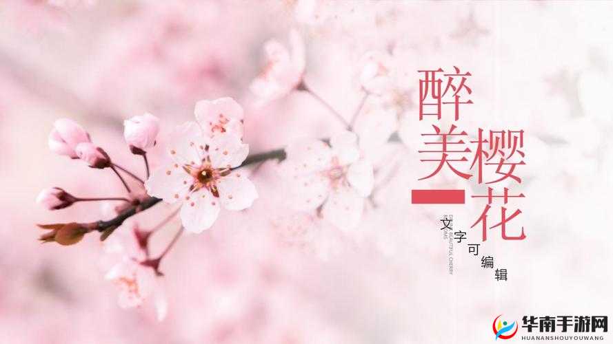 樱花成品 PPT 网站免费观看及相关资源