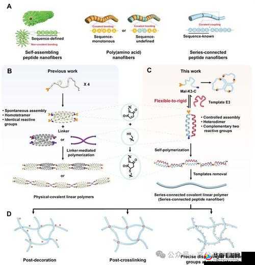 明日精技：刚性陶瓷合成指南