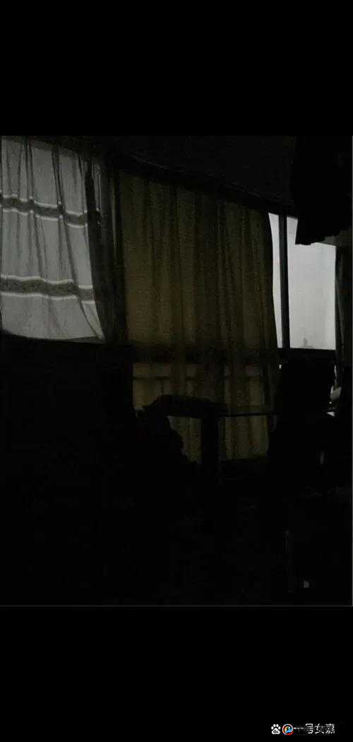 迷迷糊糊进了岳：之后发生了什么