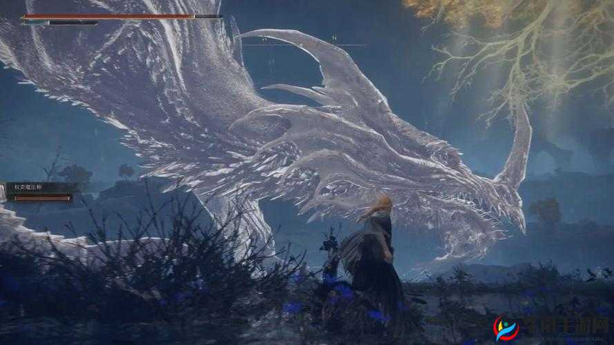 艾尔登法环：探索巨大白龙的神秘力量