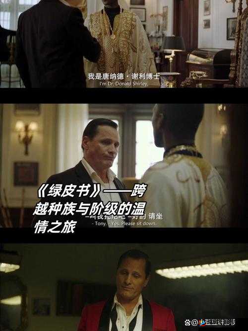 1000 部拍拍视频 18 勿入国产:一段精彩的旅程