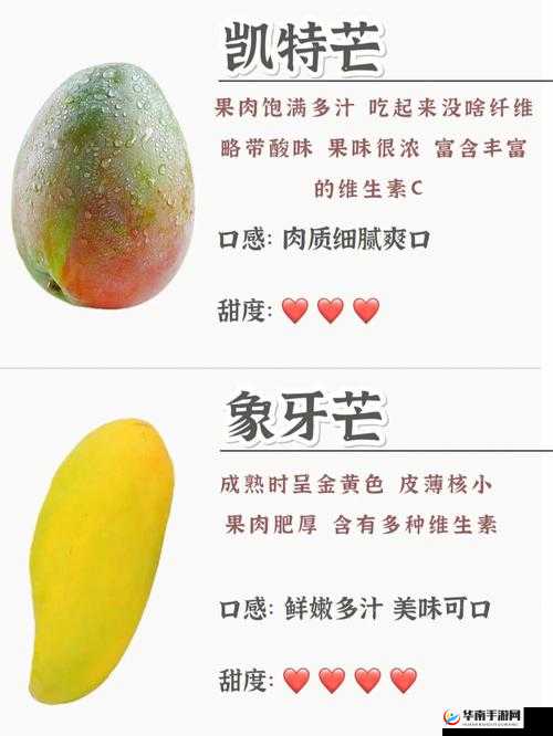 日产精品一线二线三线芒果:优质水果的多样选择