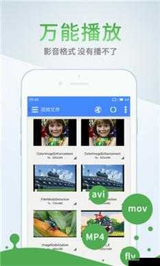 绿巨人 APP 跳转入口下载：畅享精彩资源