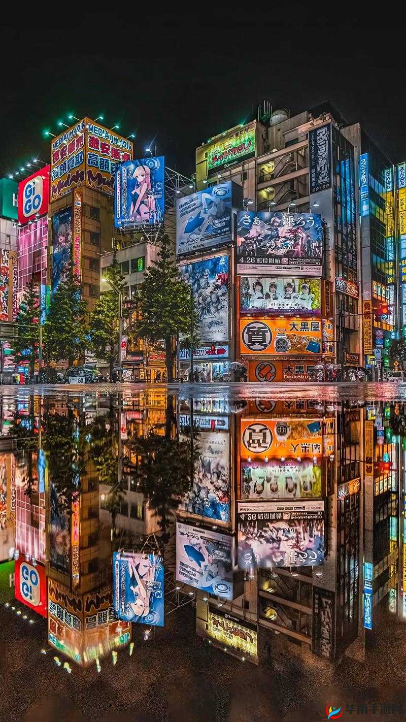 日本高清 1080MV：一场视觉的盛宴