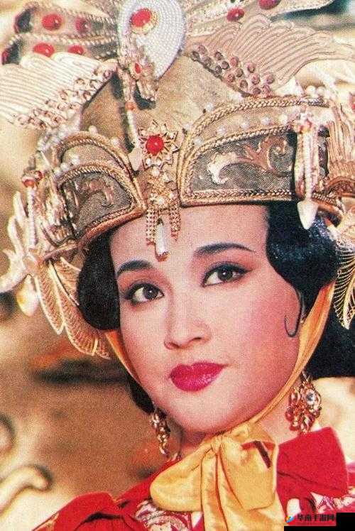 老太太 VPSWINDOWS45：一位神秘的互联网传奇