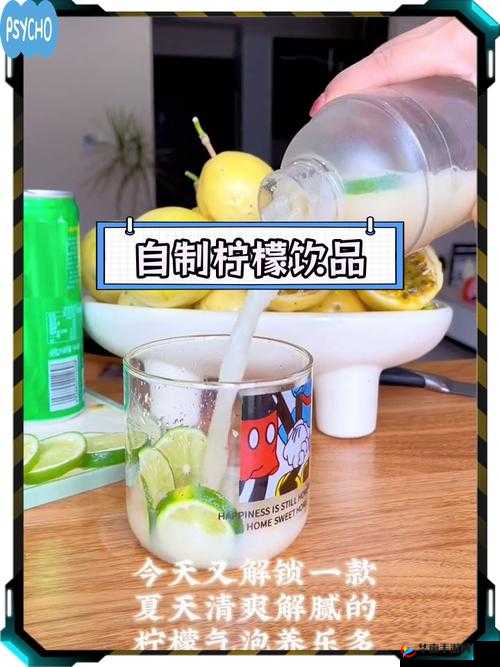 明日之后柠檬甜橙汁制作指南：轻松调制清爽饮品，酸甜适口的秘诀