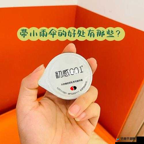 小雨伞是什么意思:探寻其背后的含义