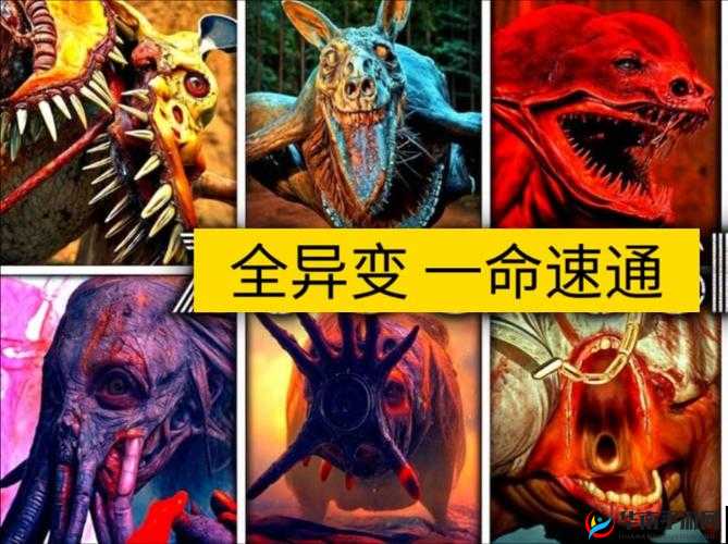 荒野大镖客暴躁老太太怎么救：一命换一命