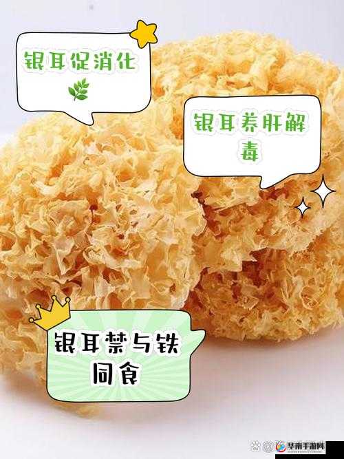 黑木耳网相关话题探讨