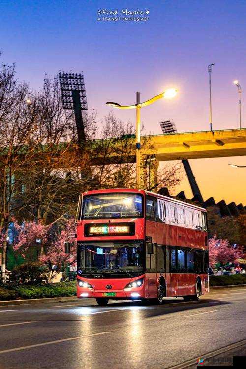 凌乱的公交车小镇：独特的城市风景线