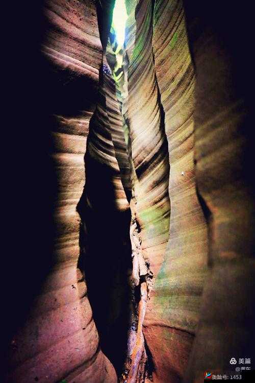 罕见精品一线天白馒头：大自然的奇妙馈赠