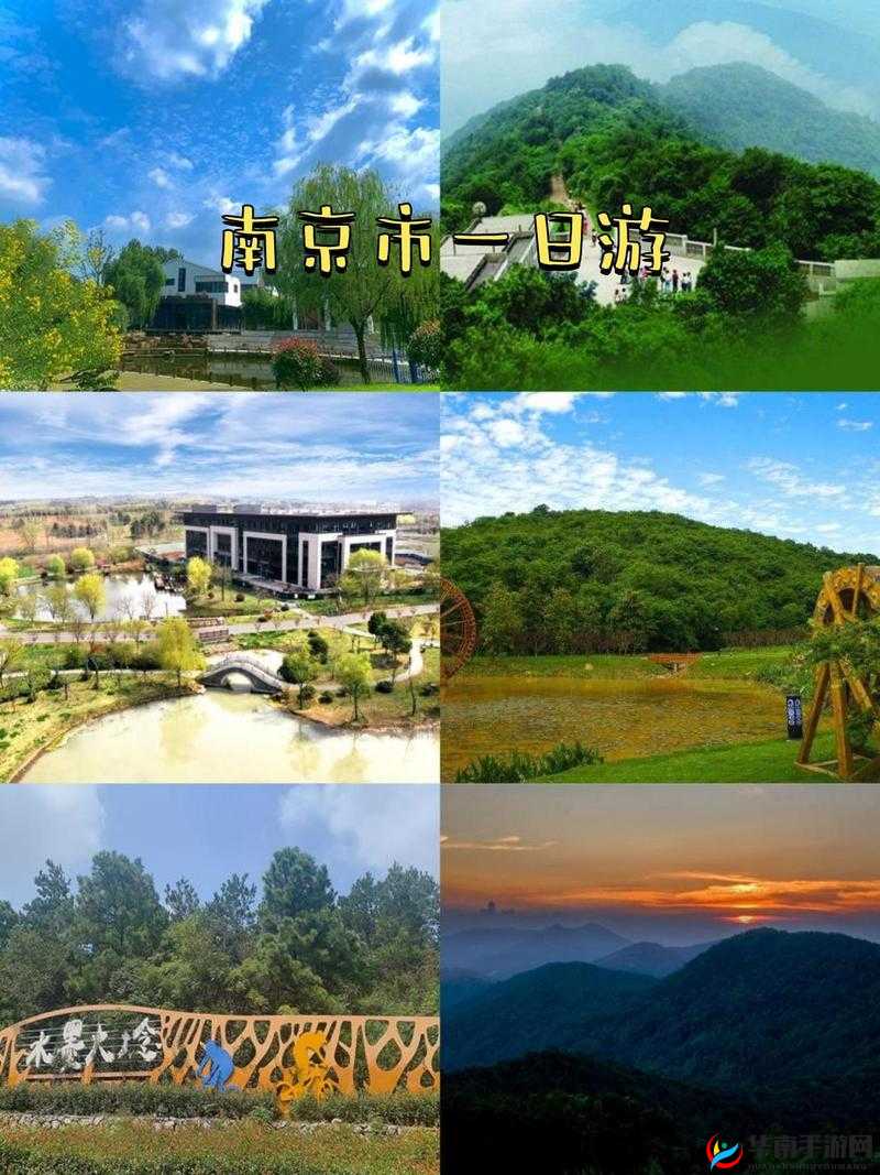 酒色社区:精彩内容等你来探索