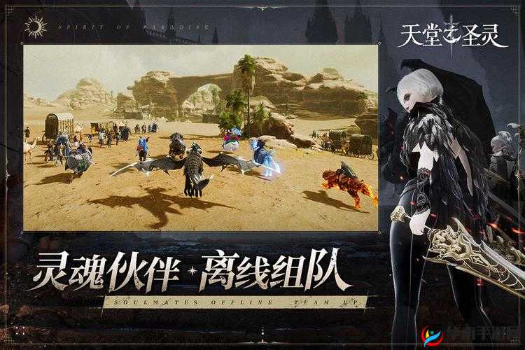 天堂之圣灵：骑士职业，天堂的捍卫者