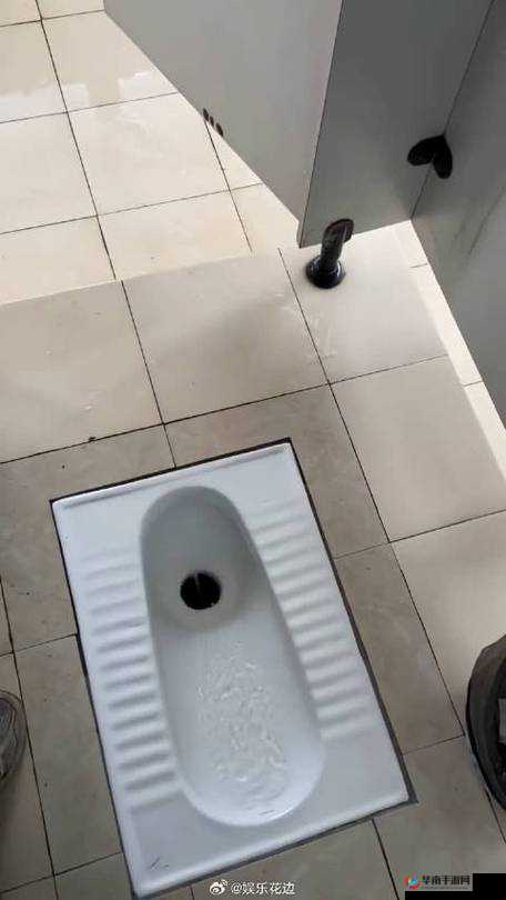 考试没考好:成了全班的坐便器-((