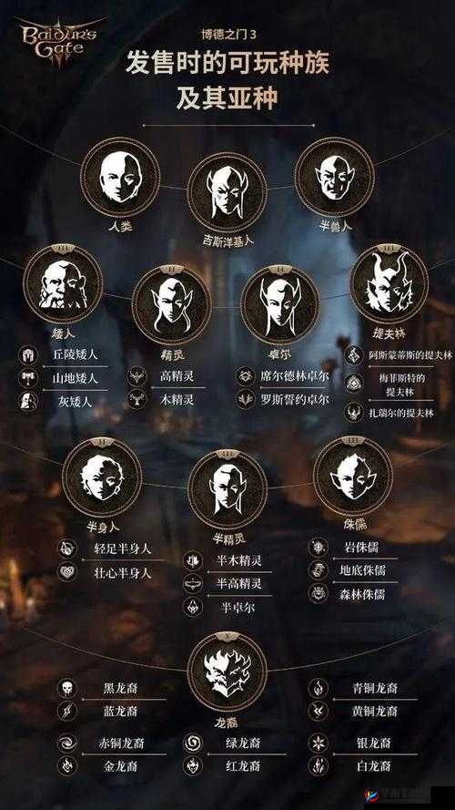 《博德之门3》龙裔种族特性指南龙裔种族属性阵营介绍