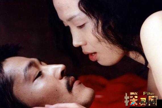 激情三区：探索欲望的冒险之旅