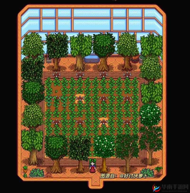 星露谷物语洒水器回收秘籍大揭秘：详细步骤与实用技巧全解析