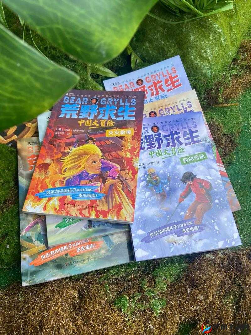 无人区码一码二码三码网页：探索未知的冒险之旅