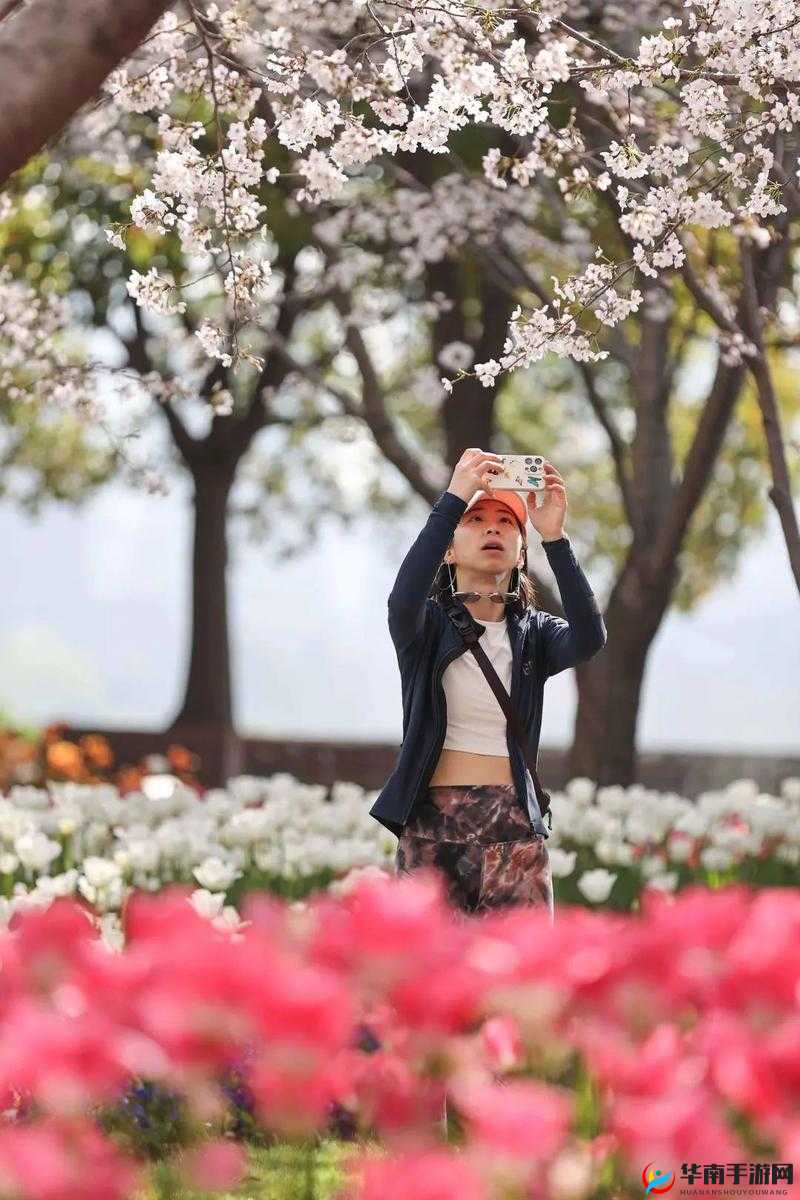 九色丨PORNY丨朋友：独特的朋友情谊