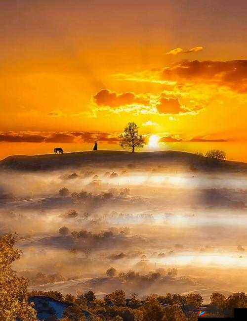 天天AAAAXXXX躁日日躁：内心躁动的日常