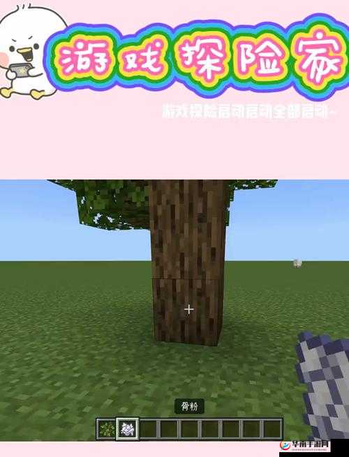 我的世界海带获取攻略:采集方法与地点解析