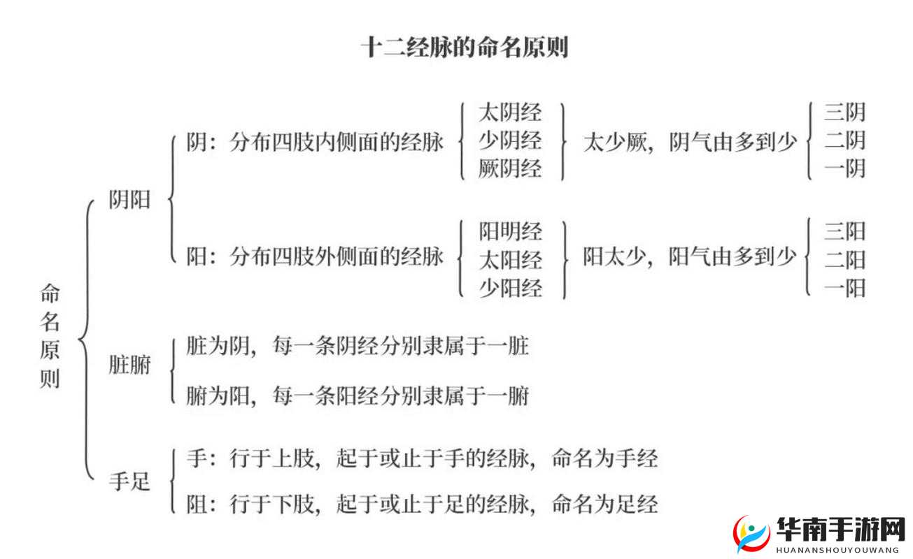 唐门世界筋脉系统解析