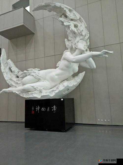 137VT 最大但人文艺术 A 豆瓣：独特魅力的艺术世界