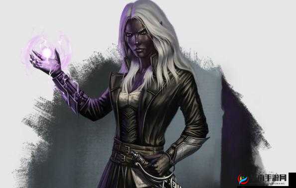 博德之门3精灵种族特性详解：属性阵营与亚种全面剖析指南