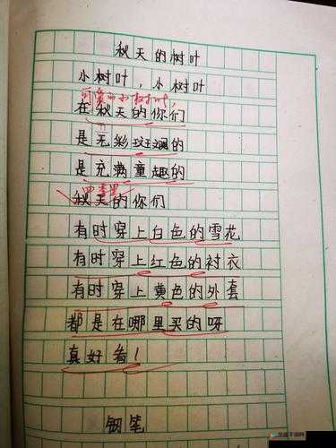 小诗的jianying 日记：生活点滴记录