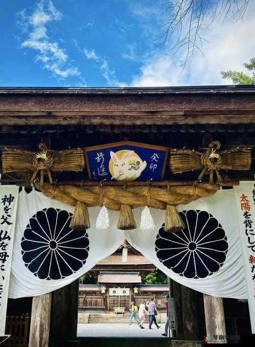 日本 wwwxx：独特的日本网络元素探索