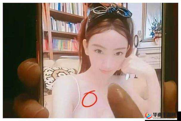 人与 ZO00XXXX 视频相关内容探讨