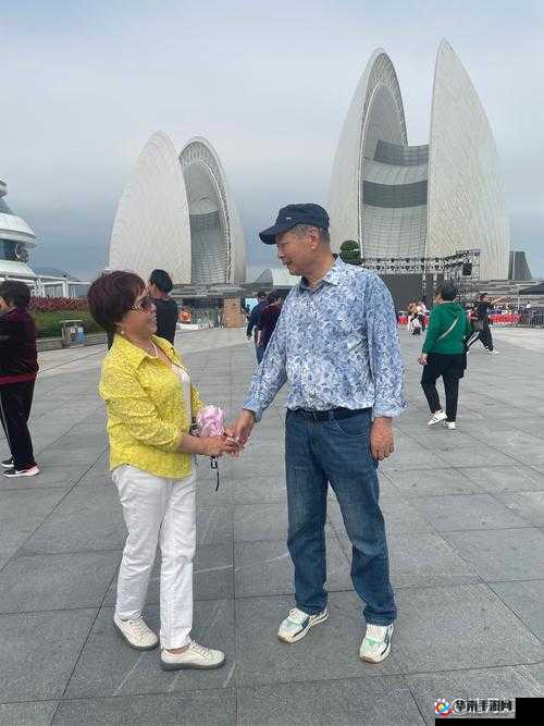 小富婆的友情树：友谊之树的力量与用途或者小富婆心中的友情树：理解与陪伴的力量解读