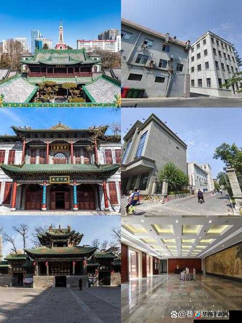 雪鹰领主手游伙伴系统全面指南 助你轻松玩转伙伴