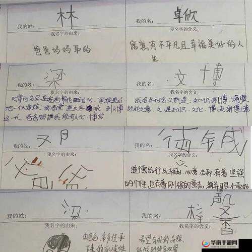 舌尖上的征服沈青訸的名字谁起的之探究