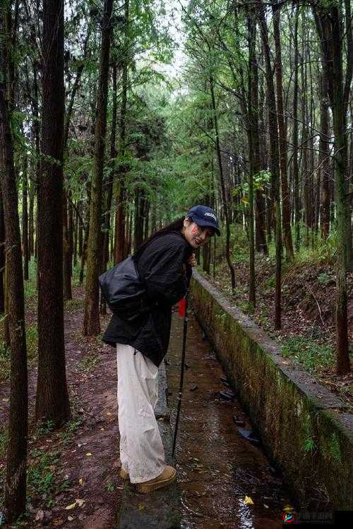 《织梦森林》中的联合生产解析：共创梦境的协作力量