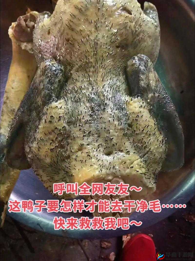 妈妈你真棒插曲:温馨旋律中的母爱颂歌