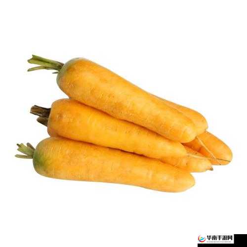 萝卜黄 9.1:一款独特的产品