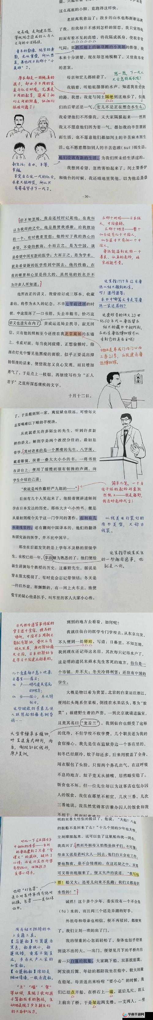 老刘头的幸福晚年张倩倩的故事背景和人物发展如何之解析