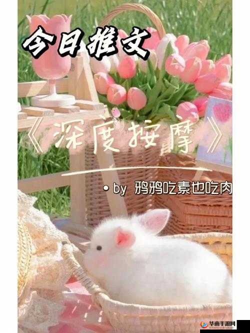 深度按摩鸦鸦吃肉不吃是素笔之探究