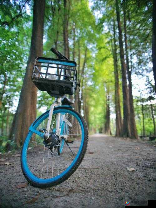 晚上我真空去公园散步的注意事项:注意安全,避免走偏僻小道