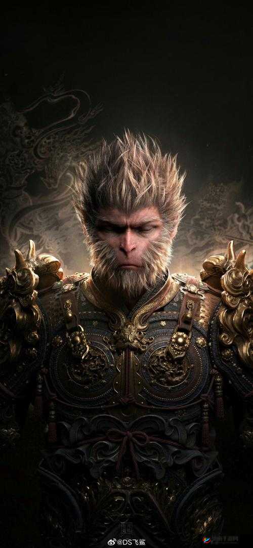 风云岛行动霍金斯与悟空对比：谁更值买