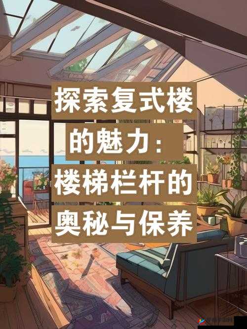 楼梯间的快乐你无法想象:探究其奥秘