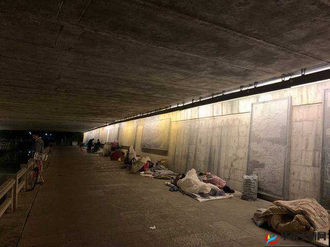 流浪汉突然拉我进桥底,接下来会发生什么