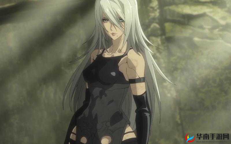 《尼尔机械纪元》获取攻略：全面解析获取途径与收集指南