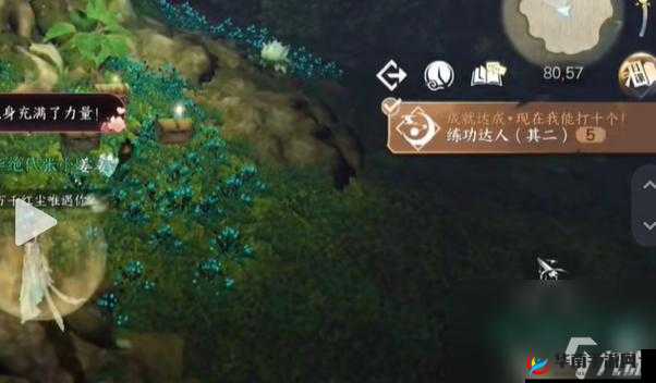 《师父》游戏拍照成就攻略：解锁拍照达人荣誉，共铸精彩瞬间之道，领略独特江湖风采