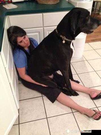 双腿间硬硬的胎头湿漉漉的挤出来:应对措施